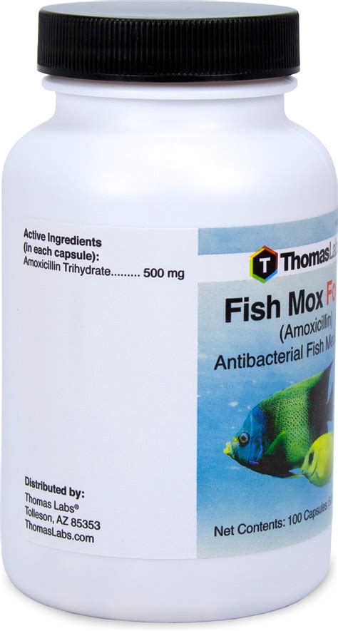 thomas labs fish mox|Fish Mox Forte Capsules l Amoxicillin For Fish